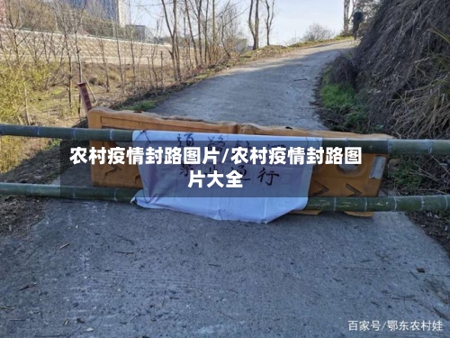 农村疫情封路图片/农村疫情封路图片大全-第3张图片
