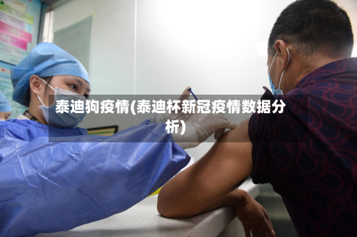 泰迪狗疫情(泰迪杯新冠疫情数据分析)