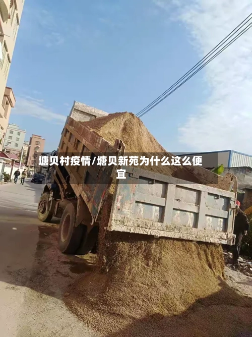 塘贝村疫情/塘贝新苑为什么这么便宜