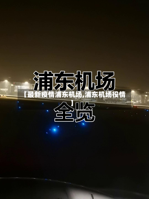 【最新疫情浦东机场,浦东机场役情】-第2张图片