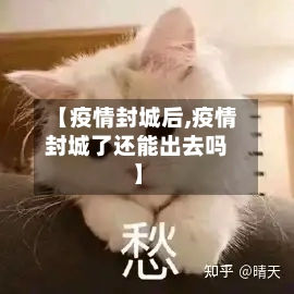 【疫情封城后,疫情封城了还能出去吗】