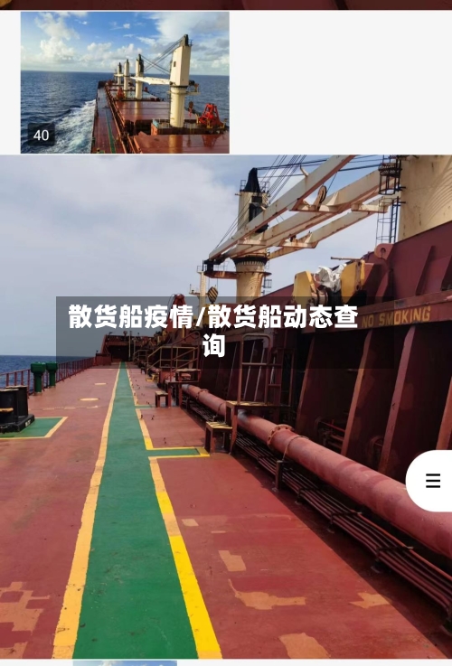 散货船疫情/散货船动态查询