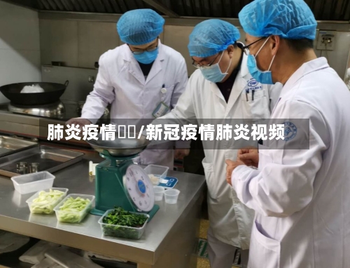 肺炎疫情視頻/新冠疫情肺炎视频-第2张图片