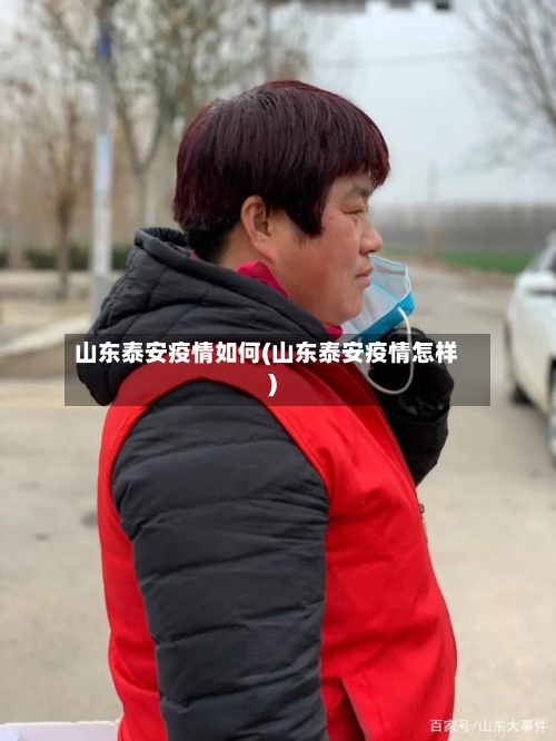 山东泰安疫情如何(山东泰安疫情怎样)