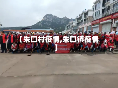 【朱口村疫情,朱口镇疫情】