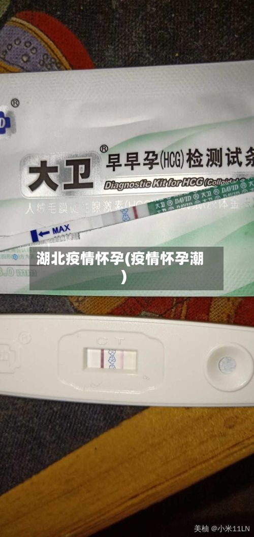 湖北疫情怀孕(疫情怀孕潮)