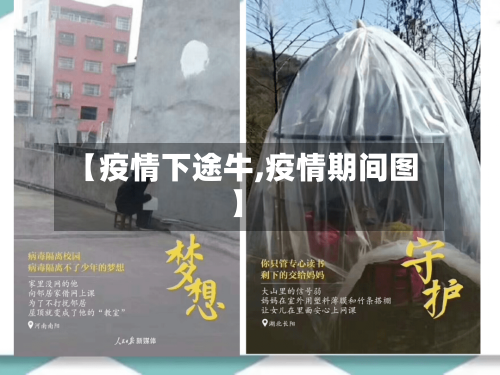 【疫情下途牛,疫情期间图】-第2张图片