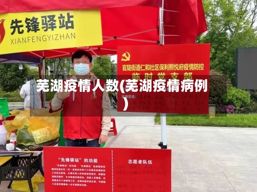 芜湖疫情人数(芜湖疫情病例)-第2张图片