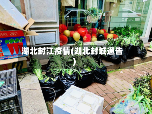 湖北封江疫情(湖北封城通告)-第2张图片