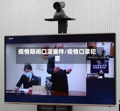 疫情期间口罩案件/疫情口罩犯罪-第2张图片