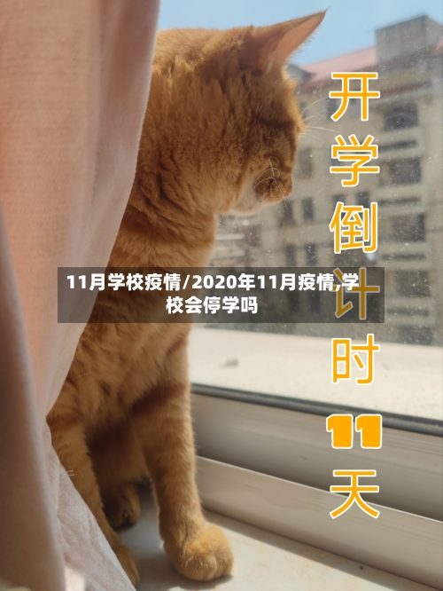 11月学校疫情/2020年11月疫情,学校会停学吗