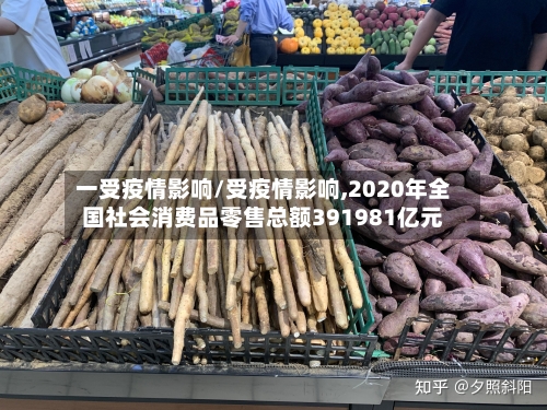 一受疫情影响/受疫情影响,2020年全国社会消费品零售总额391981亿元