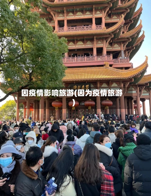 因疫情影响旅游(因为疫情旅游)