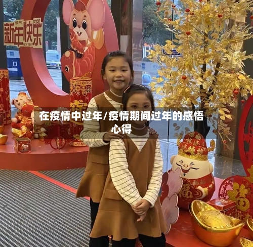 在疫情中过年/疫情期间过年的感悟心得