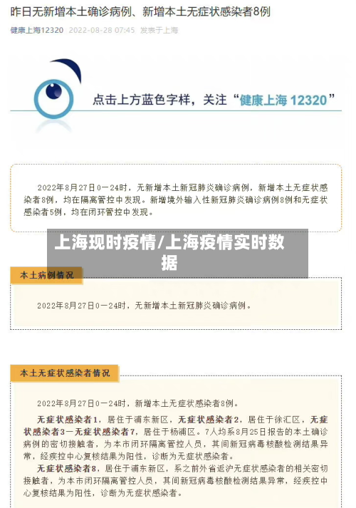 上海现时疫情/上海疫情实时数据
