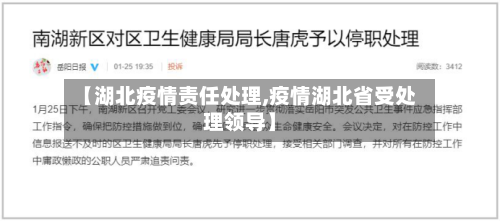 【湖北疫情责任处理,疫情湖北省受处理领导】-第2张图片