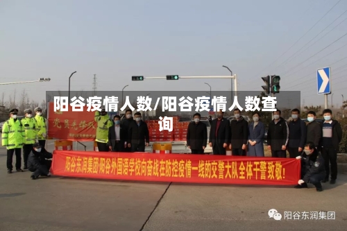 阳谷疫情人数/阳谷疫情人数查询-第2张图片