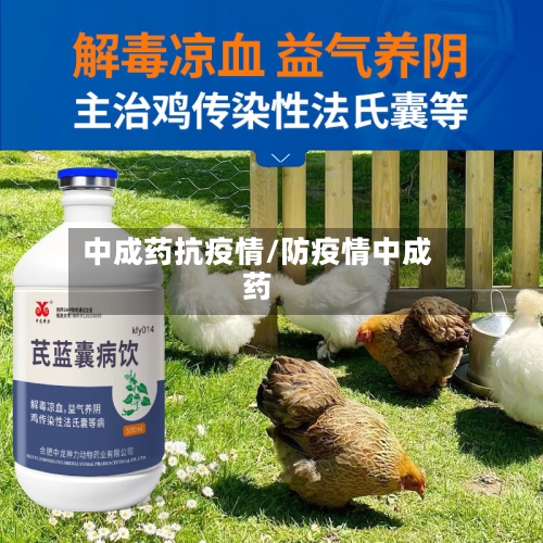 中成药抗疫情/防疫情中成药