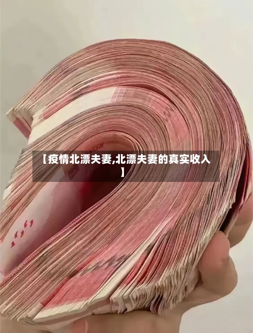 【疫情北漂夫妻,北漂夫妻的真实收入】-第2张图片