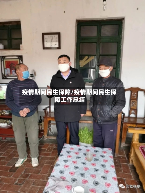 疫情期间民生保障/疫情期间民生保障工作总结