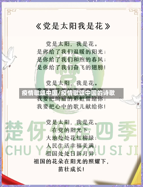 疫情歌颂中国/疫情歌颂中国的诗歌-第2张图片