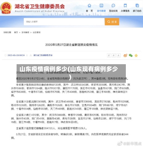 山东疫情病例多少(山东现有病例多少)