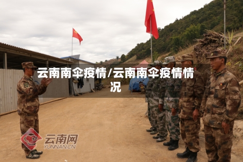 云南南伞疫情/云南南伞疫情情况